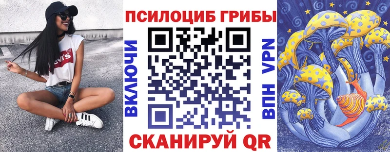 OMG ссылки  Грязовец  Псилоцибиновые грибы MAGIC MUSHROOMS 
