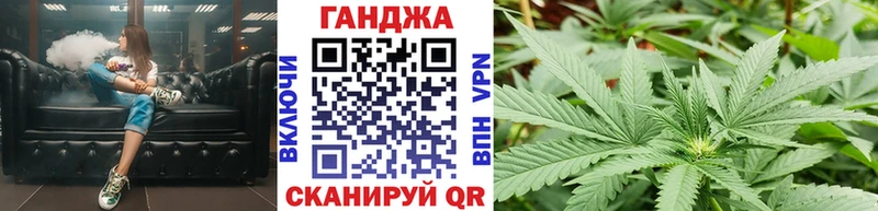 Бошки Шишки планчик  Грязовец 